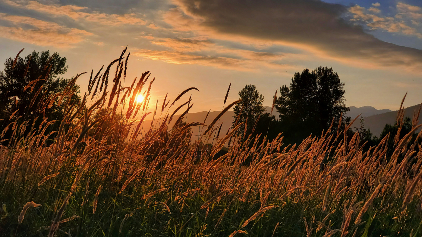 No Murmuring Allowed