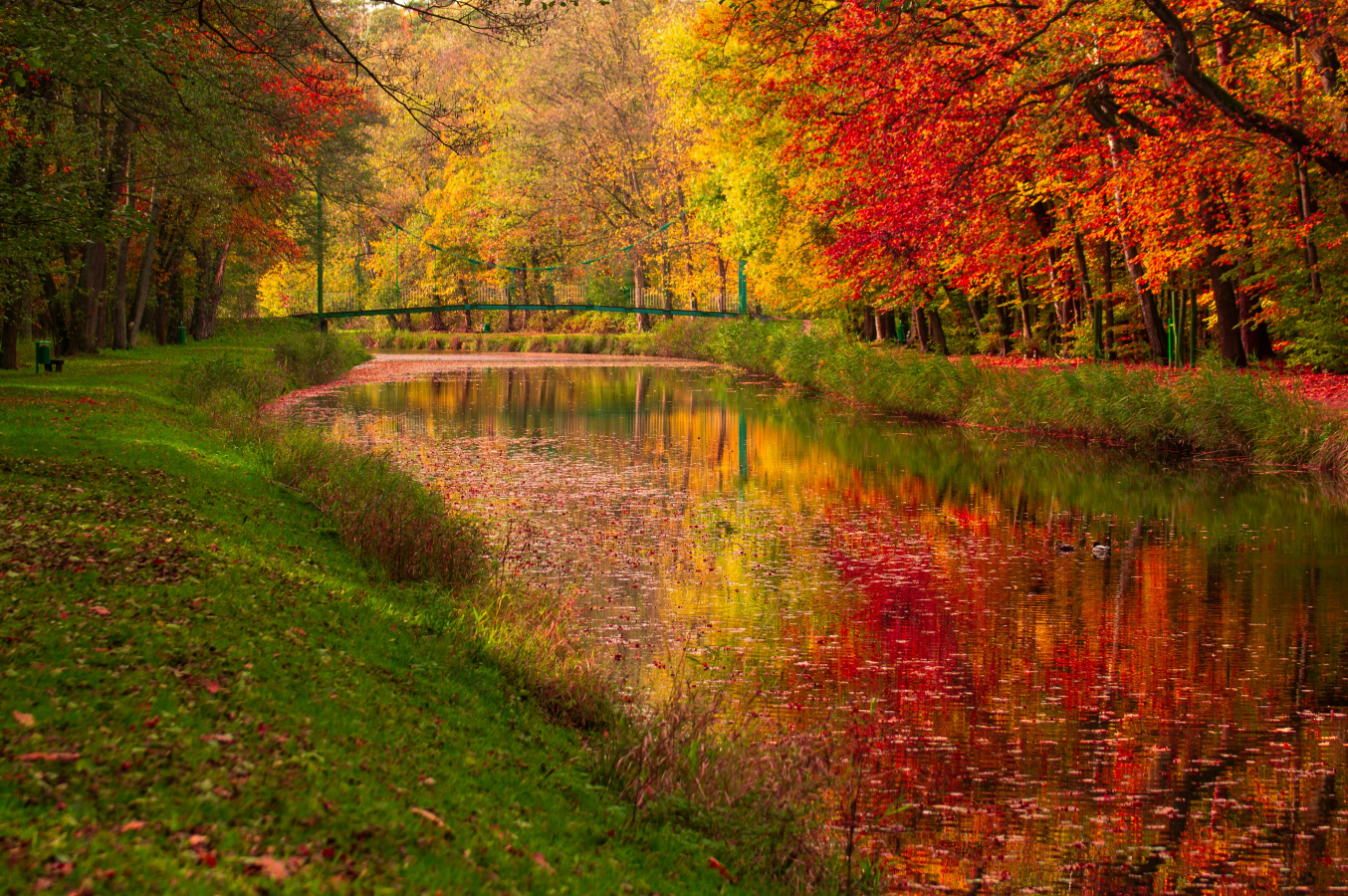 The Power of a Thankful Heart