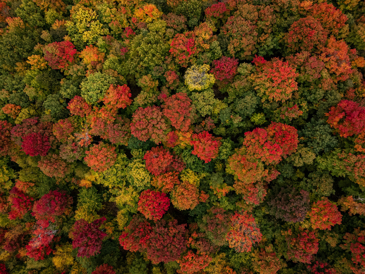 They Went to Their Own Company