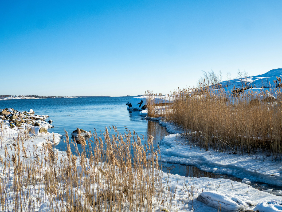 The Evangelist––Part Three | The Price of the Call