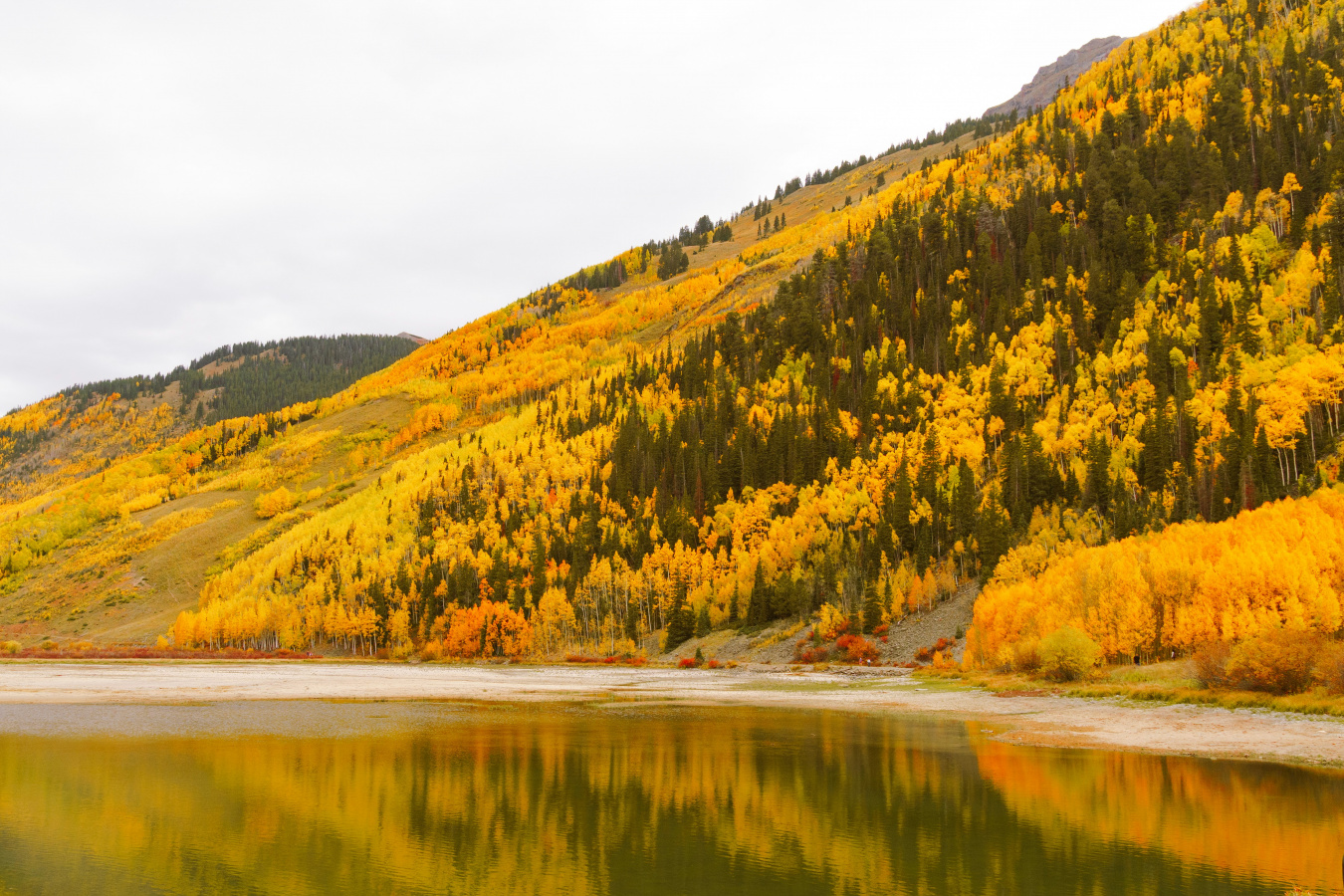 The Church–The Body of Christ